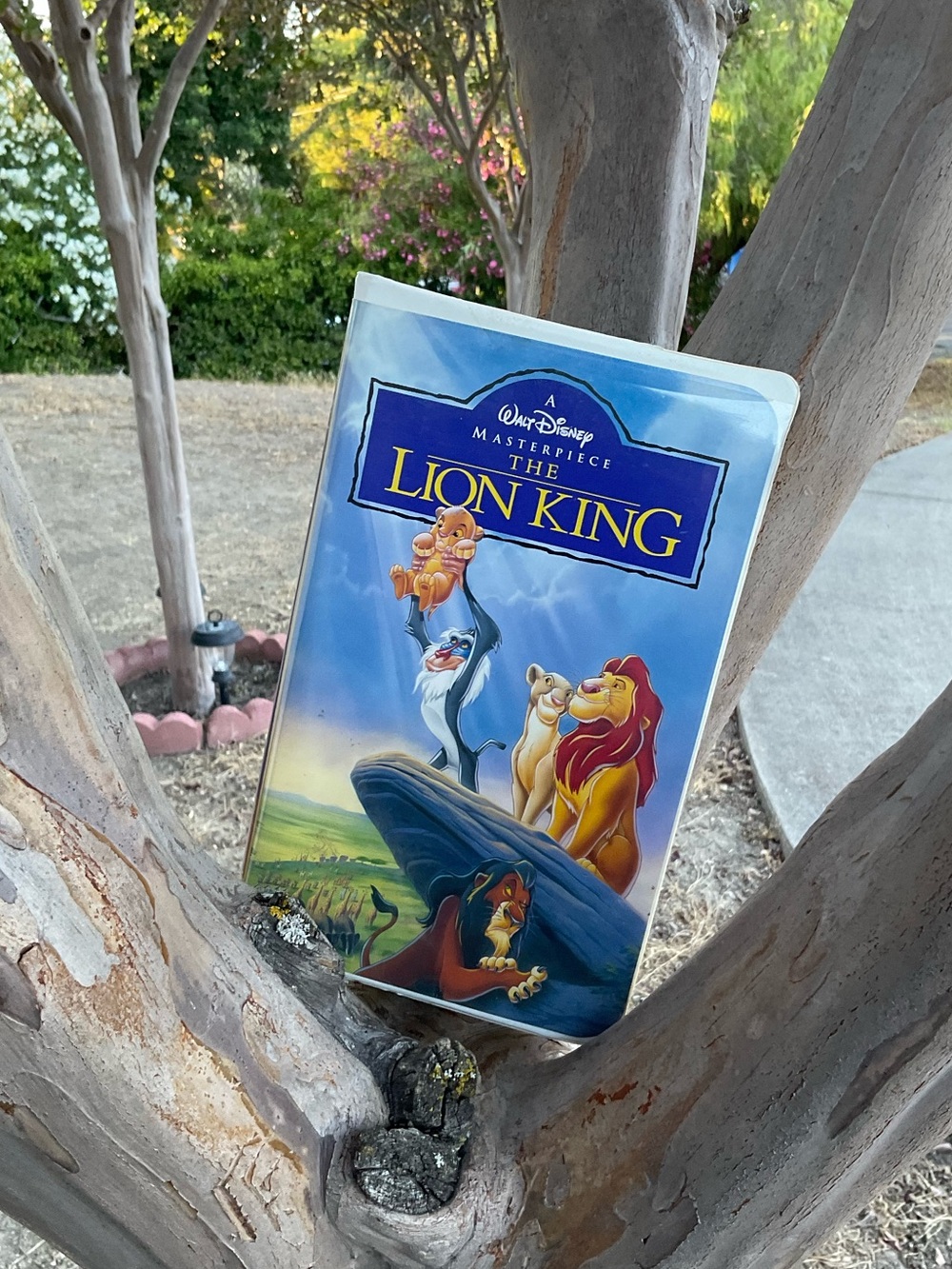 “Pre-Owned” Walt Disney's Masterpiece Collection The Lion King VHS, 1995